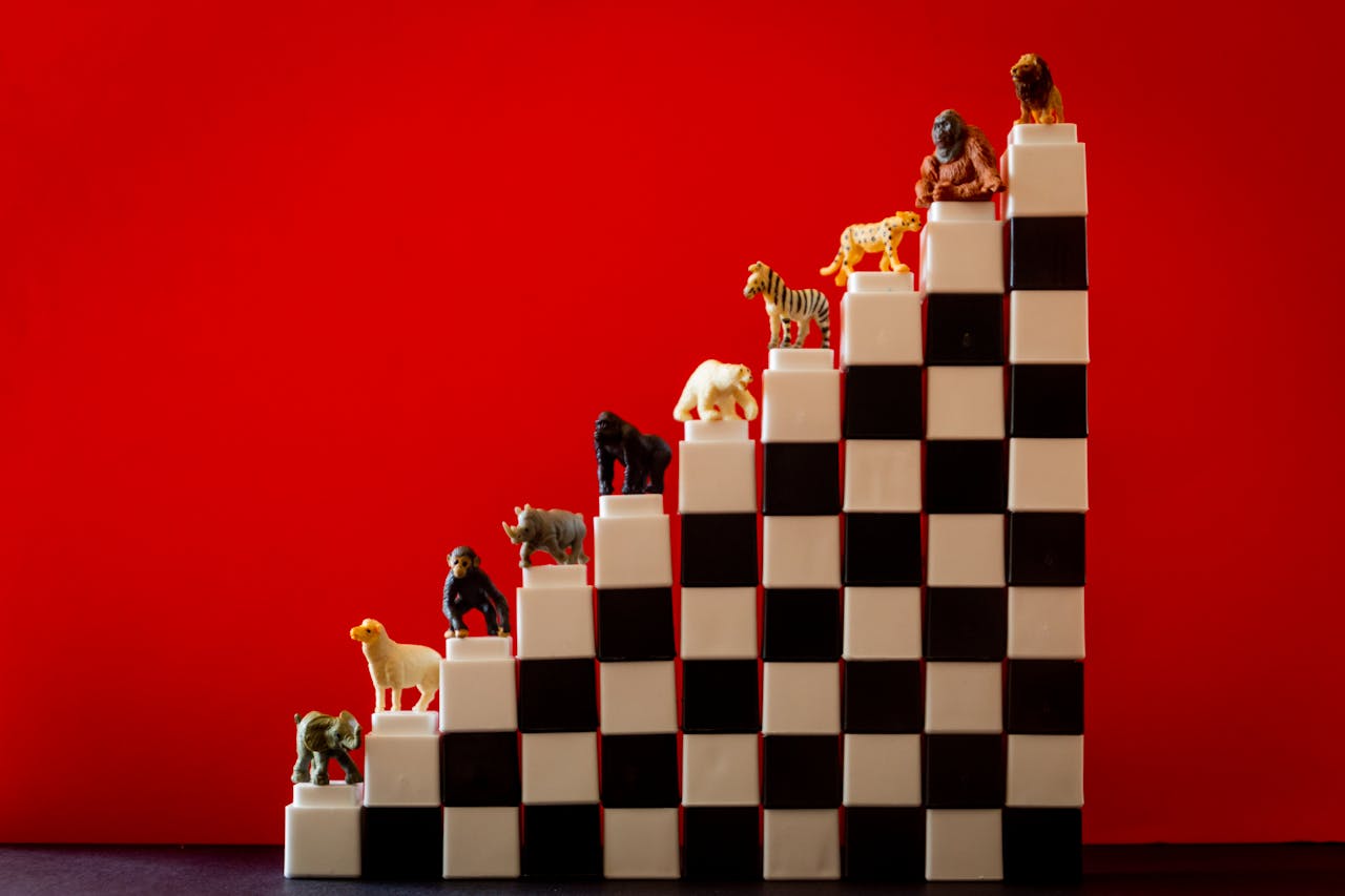 Colorful animal figurines arranged on checkered blocks against a red background.